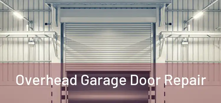  Overhead Garage Door Repair 
